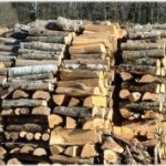 firewood firewood