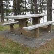 picnic-table